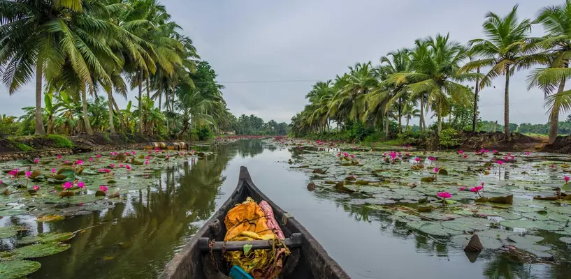 Day 6: Kumarakom – Serenity in the Backwaters