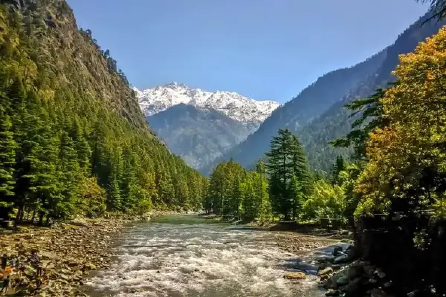 kufri-nlt